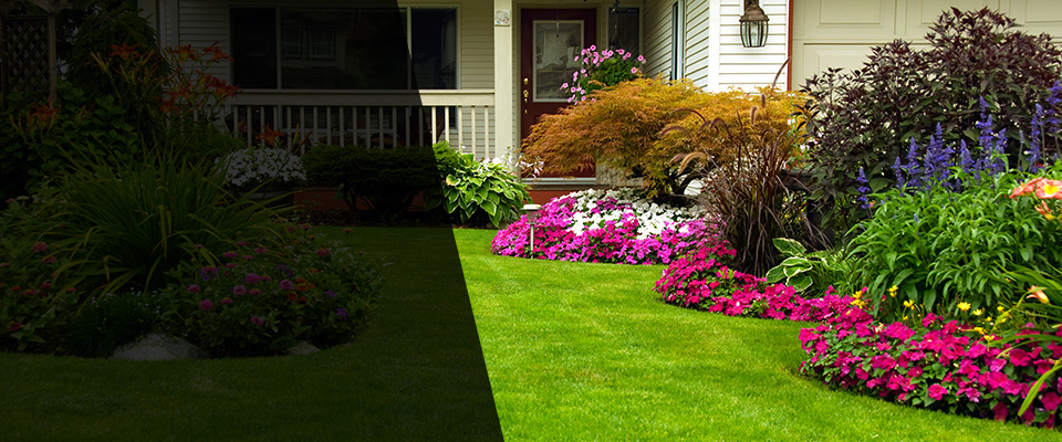 Chandler Landscapers